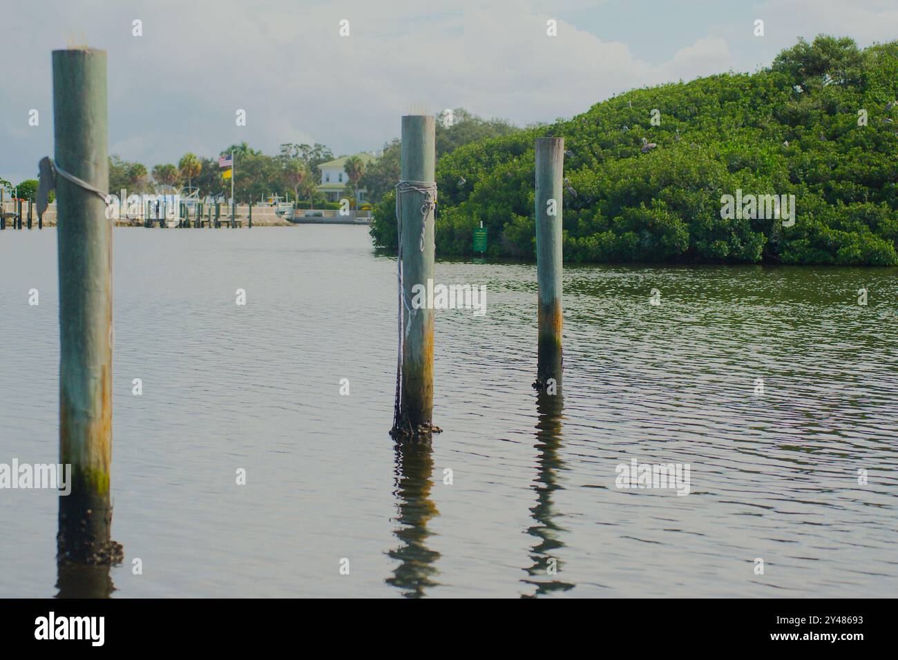 Ampia vista sull'acqua fino alla riserva di uccelli Coffee Pot Bayou, una piccola isola piena di pellicani nidificanti, aironi di altri uccelli e alberi verdi di mangrovie. Foto Stock