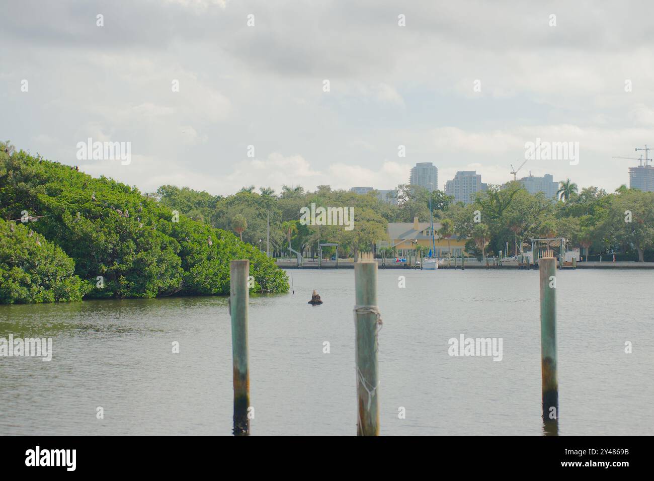 Ampia vista sull'acqua fino alla riserva di uccelli Coffee Pot Bayou, una piccola isola piena di pellicani nidificanti, aironi di altri uccelli e alberi verdi di mangrovie. Foto Stock