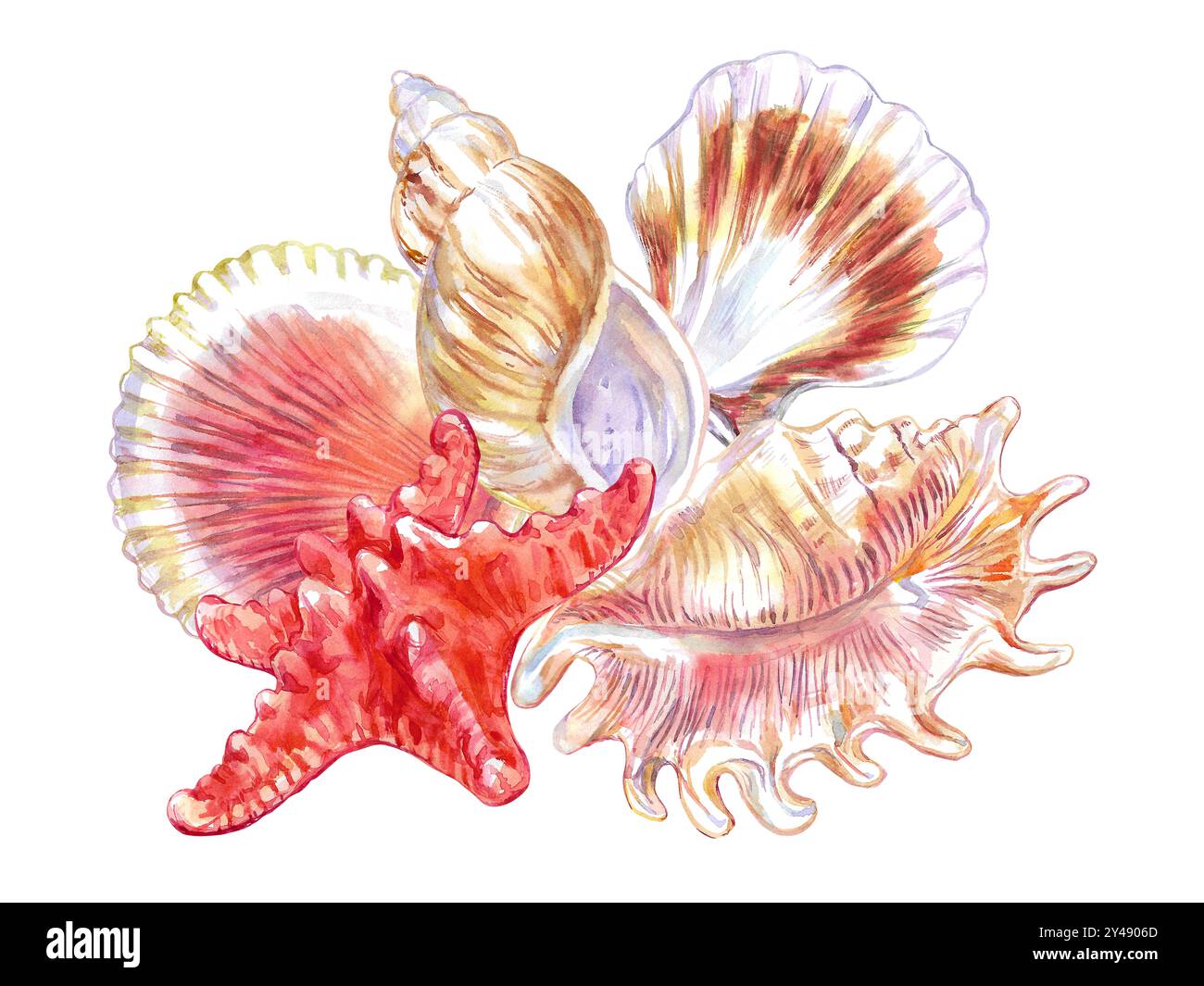 Composizione conchiglia di Scorpion Spider Conch, lumaca Rosy Wolf, Calico Scallop, Starfish comune in acquerello. Molluschi gasteropodi marini, grande mare Foto Stock