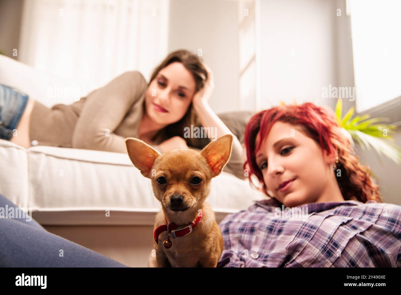 Un adorabile cucciolo dall'espressione stravagante è al centro dell'attenzione di due giovani donne Foto Stock