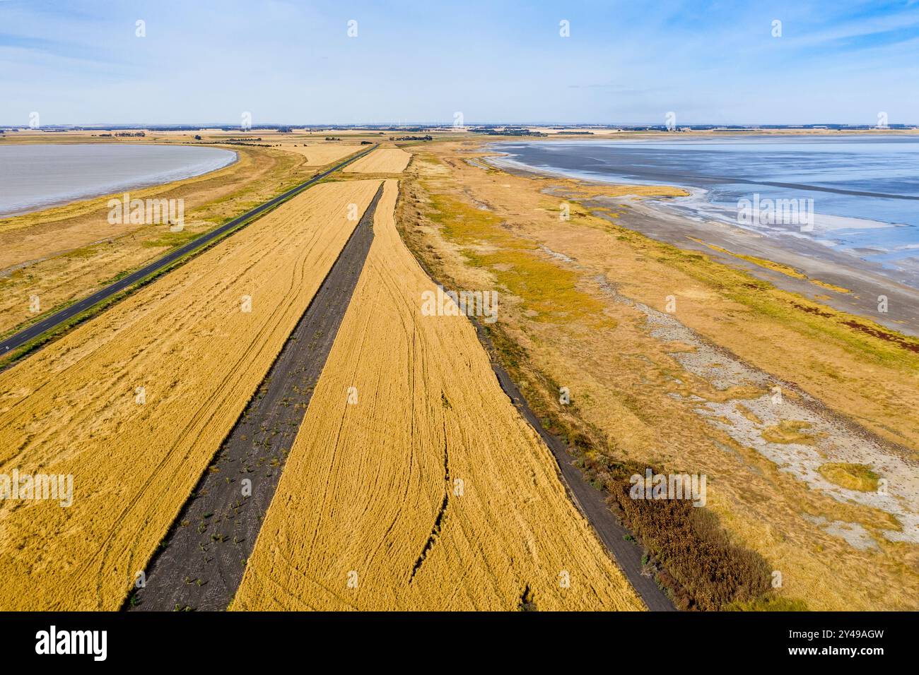 Vista aerea delle linee e dei modelli di mietitrice in un raccolto di grano secco lungo un lago salato sul lago Corangamite nel Victoria meridionale, Australia. Foto Stock