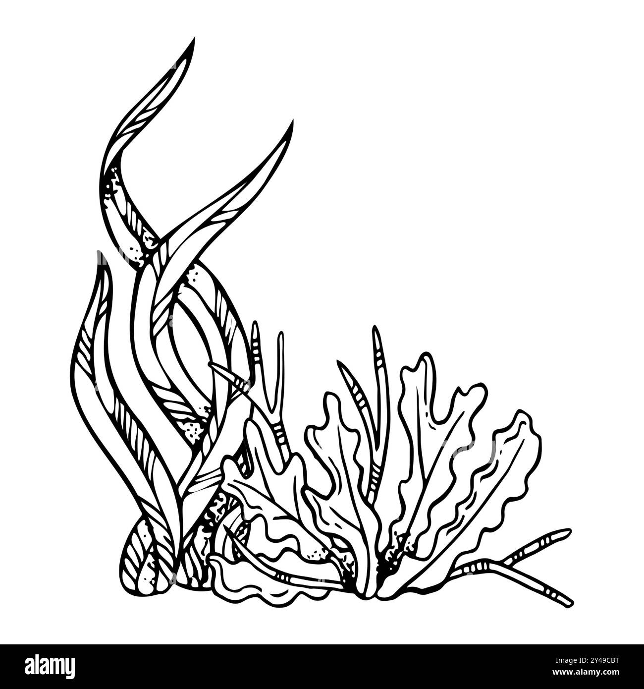 Alghe laminaria linea e alghe marroni bianco e nero Illustrazione Vettoriale