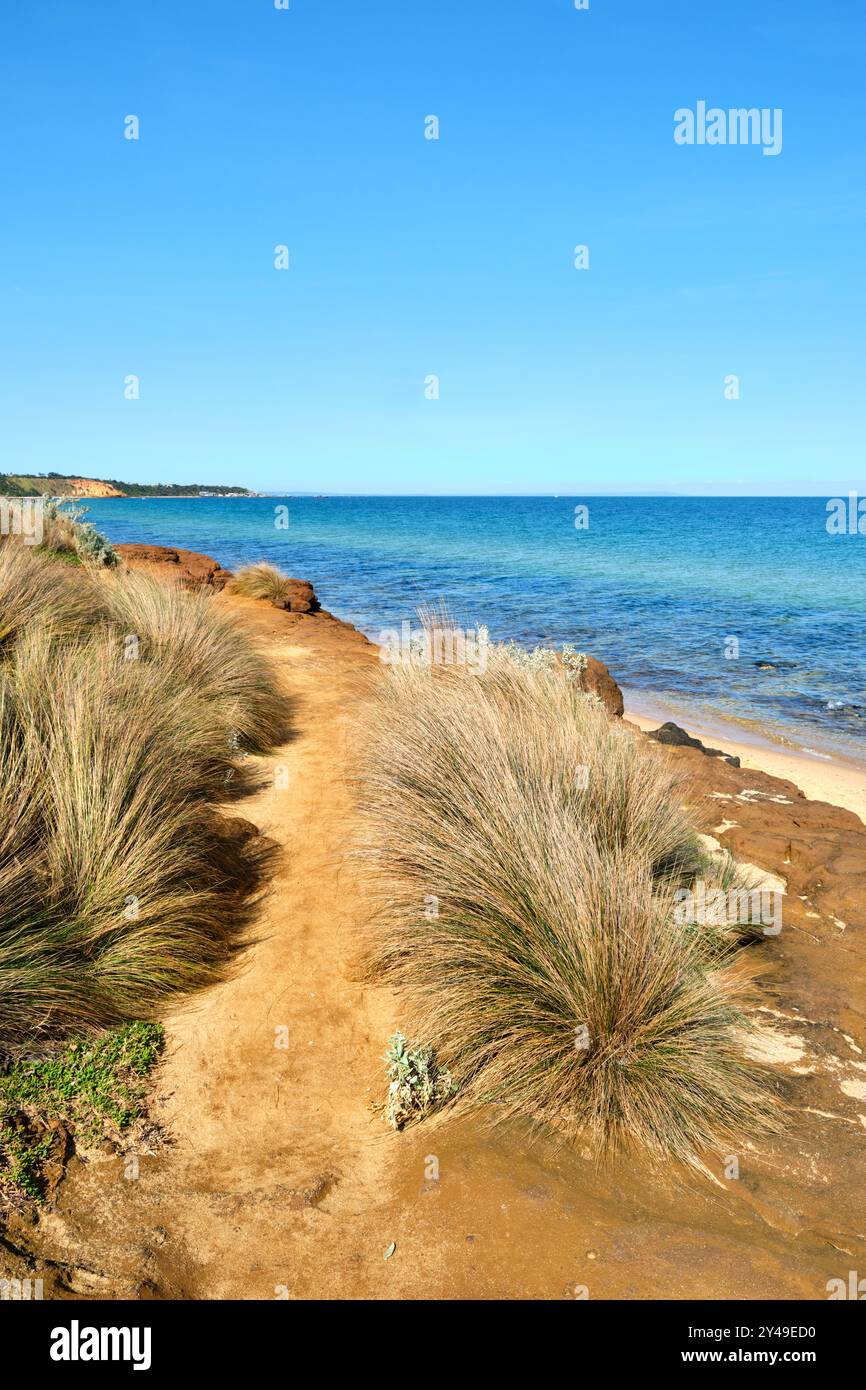 Un sentiero a piedi sopra le rocce e la vegetazione costiera a Sandringham Beach nella baia di Port Phillip in una mattinata di sole a Melbourne, Victoria, Australia. Foto Stock