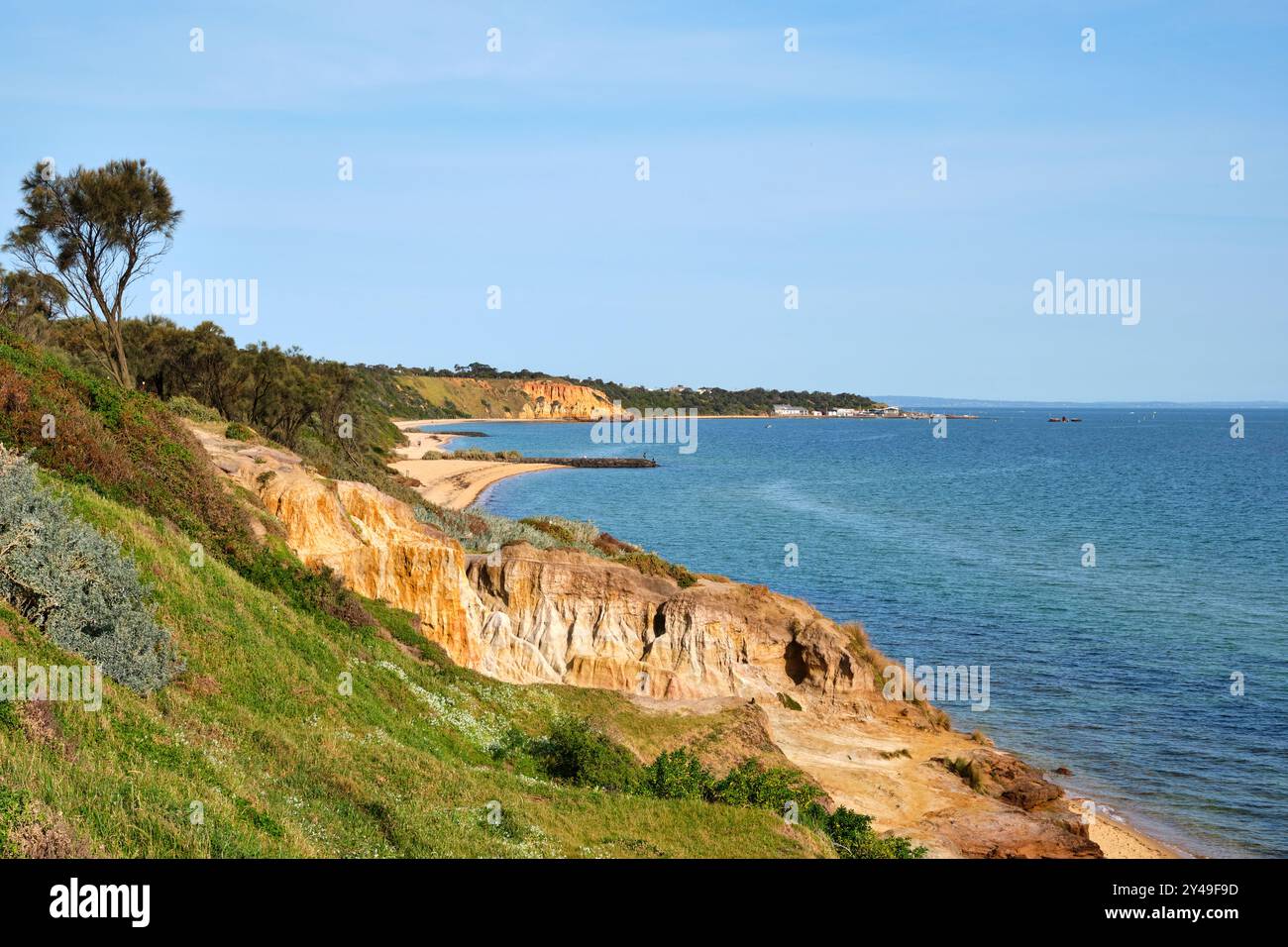 Formazioni geologiche di roccia arenaria all'interno della struttura delle dune a Sandringham Beach, Melbourne, Victoria, Australia. Foto Stock