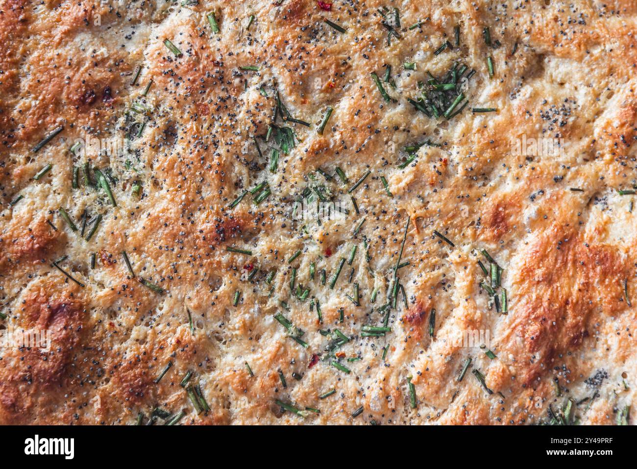 focaccia integrale con erbe e semi di papavero, ricette vegetariane salutari Foto Stock focaccia integrale con erbe e semi di papavero, ricette vegetariane salutari Foto Stock