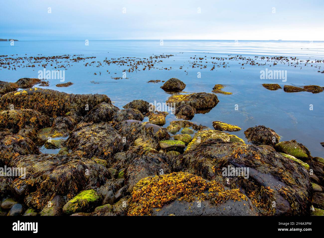 Spiaggia di ghiaia con bassa marea nell'Islanda settentrionale al numero 66 parallela a Tjornes vicino a Husavik nel comune di Nordurping in Islanda Foto Stock
