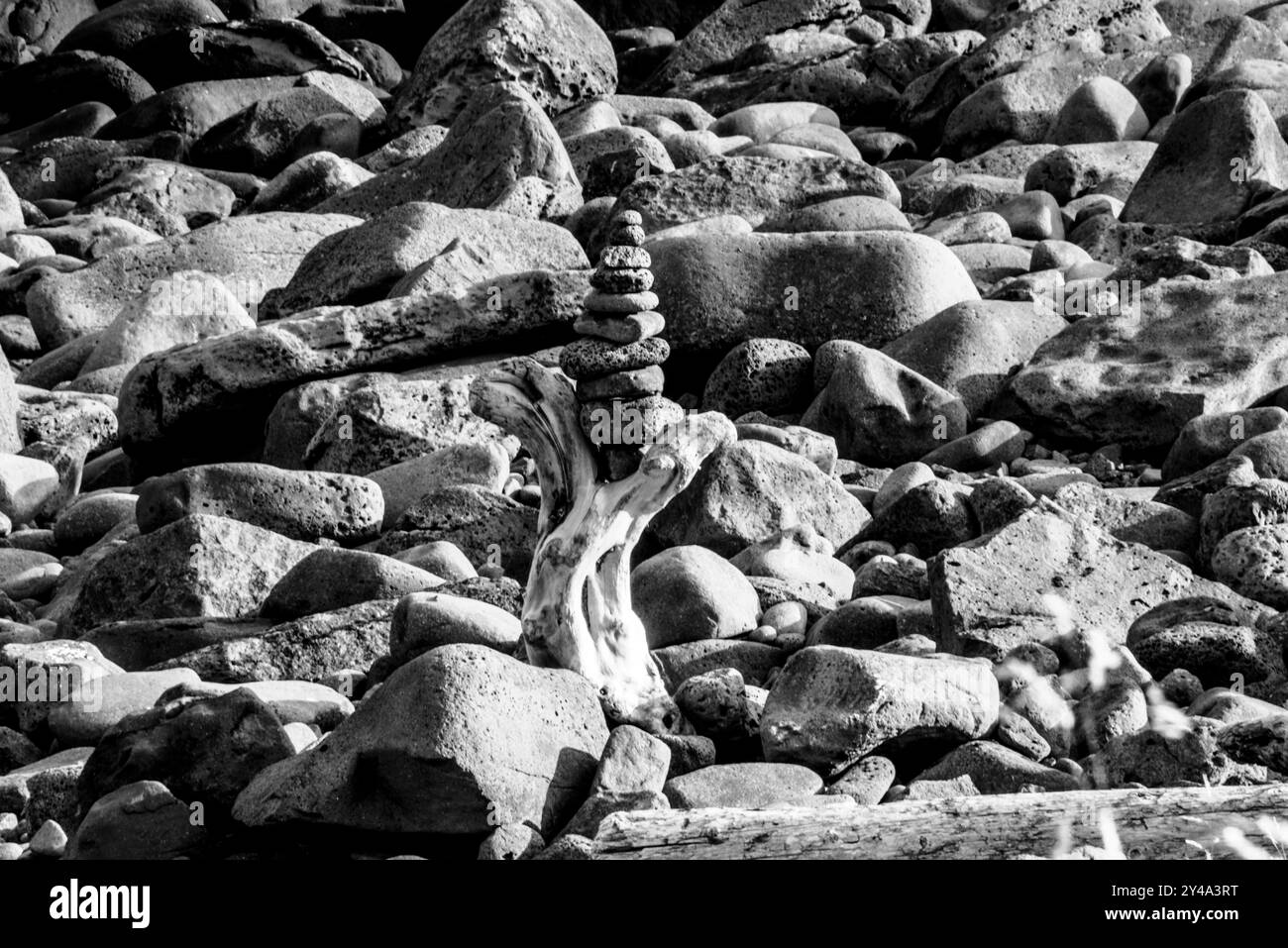Ciottoli bilanciati su una spiaggia di ciottoli di legno con bassa marea nell'Islanda settentrionale al numero 66 parallelo a Tjornes vicino a Husavik nel comune di Nordurping in Foto Stock