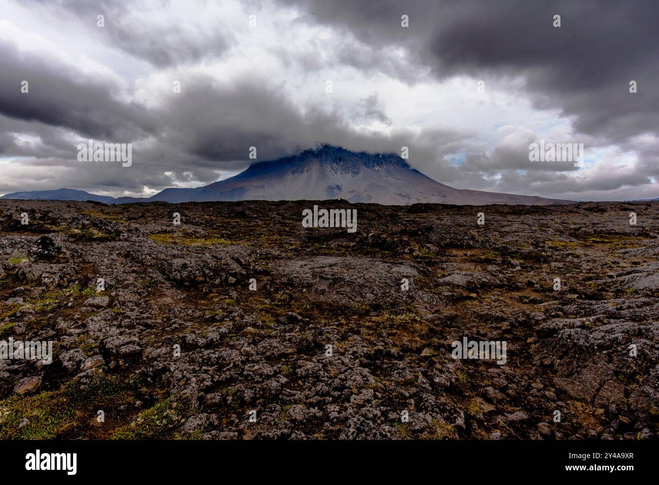 Vedute del Monte Herdubreid sulla strada F88 che conduce al vulcano Askja con la capanna della guardia del parco e le cascate sul fiume Jokulsa a Fjollum ne Foto Stock