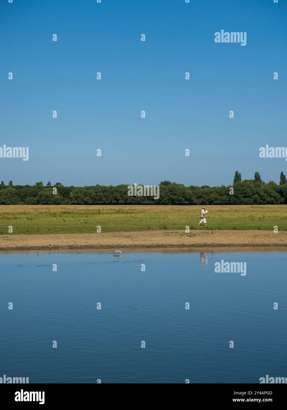 Persona che legge libri e passeggiate, Port Meadow, Oxford, Oxfordshire, Inghilterra, REGNO UNITO, REGNO UNITO. Foto Stock