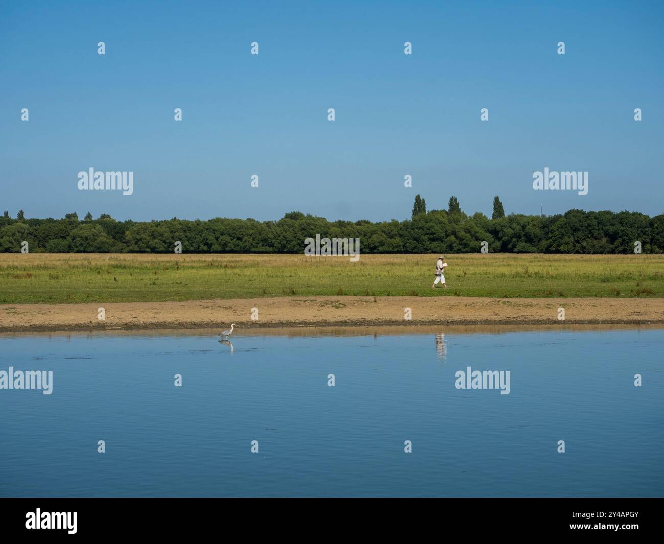 Persona che legge libri e passeggiate, Port Meadow, Oxford, Oxfordshire, Inghilterra, REGNO UNITO, REGNO UNITO. Foto Stock