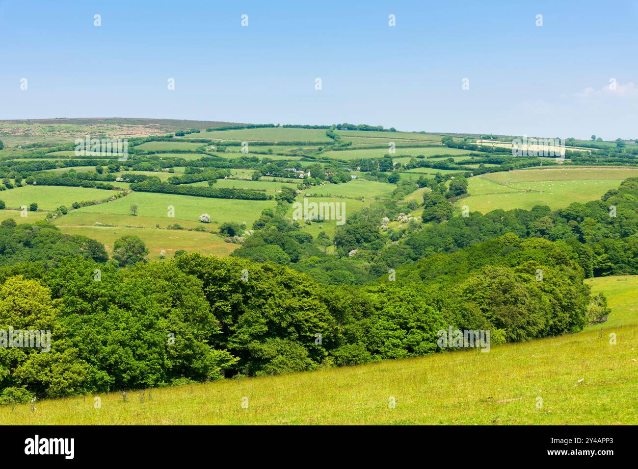 Barle Valley e Winsford Hill oltre dalla pista di ponte di exe Valley Way a Tarr Step, Exmoor National Park, Somerset, Inghilterra. Foto Stock