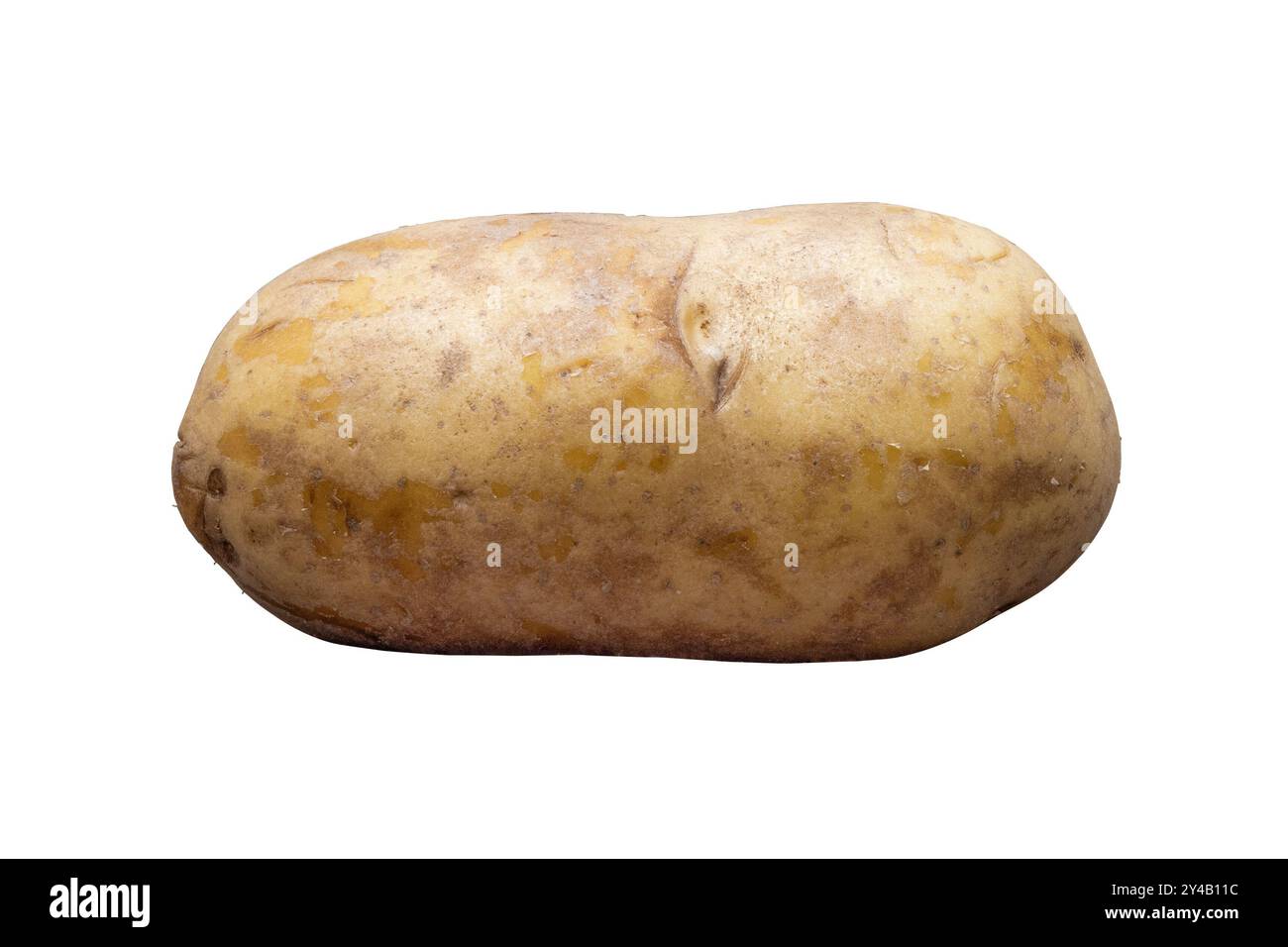 Patata cruda isolata dallo sfondo Foto Stock