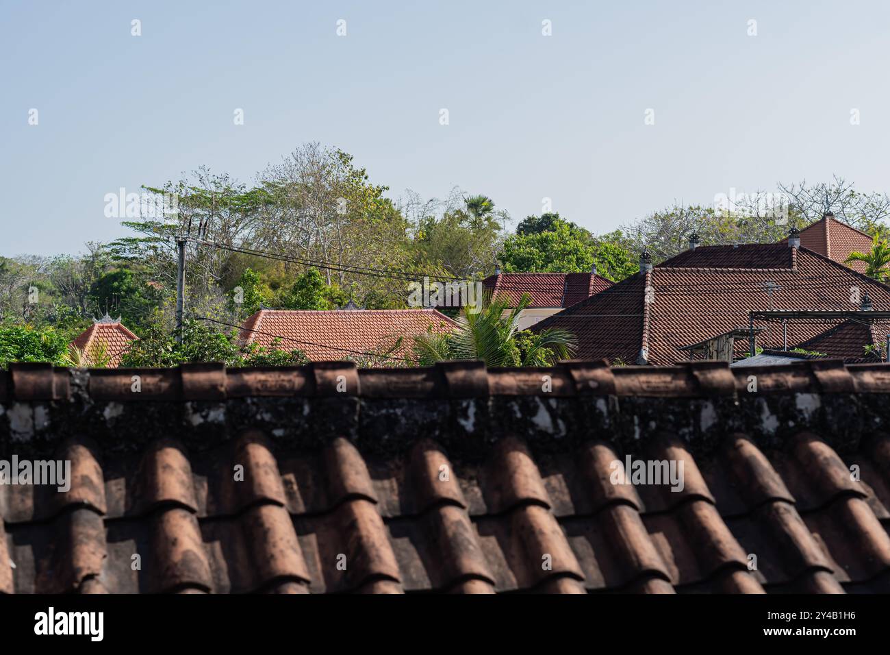 Una vista dei tetti con piastrelle rosse circondate da lussureggiante vegetazione sotto un cielo azzurro. La scena cattura una tranquilla area residenziale con alberi e po Foto Stock