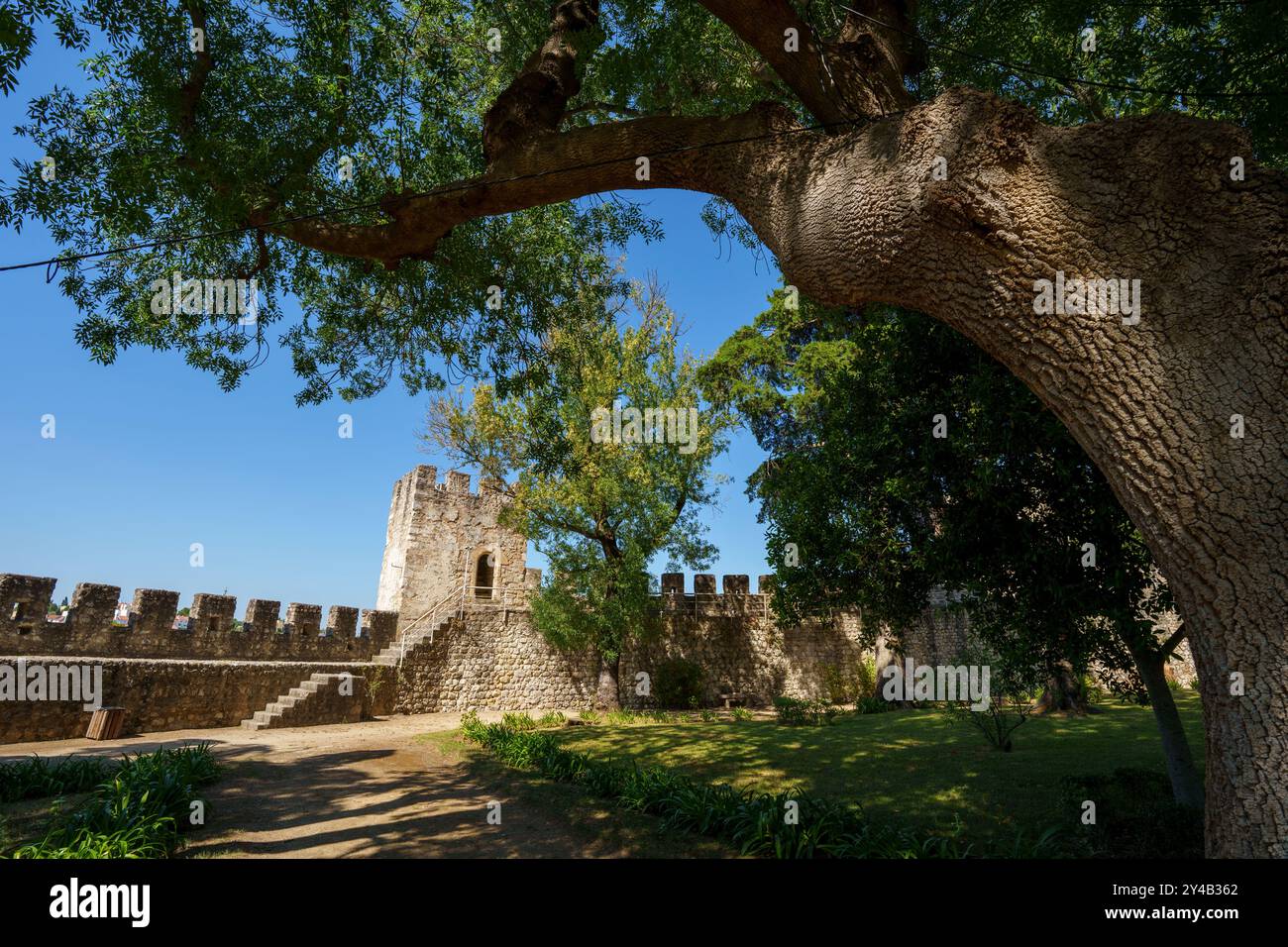 Castello medievale di Castelo de Torres Novas a Torres Novas, Portogallo, Europa Foto Stock