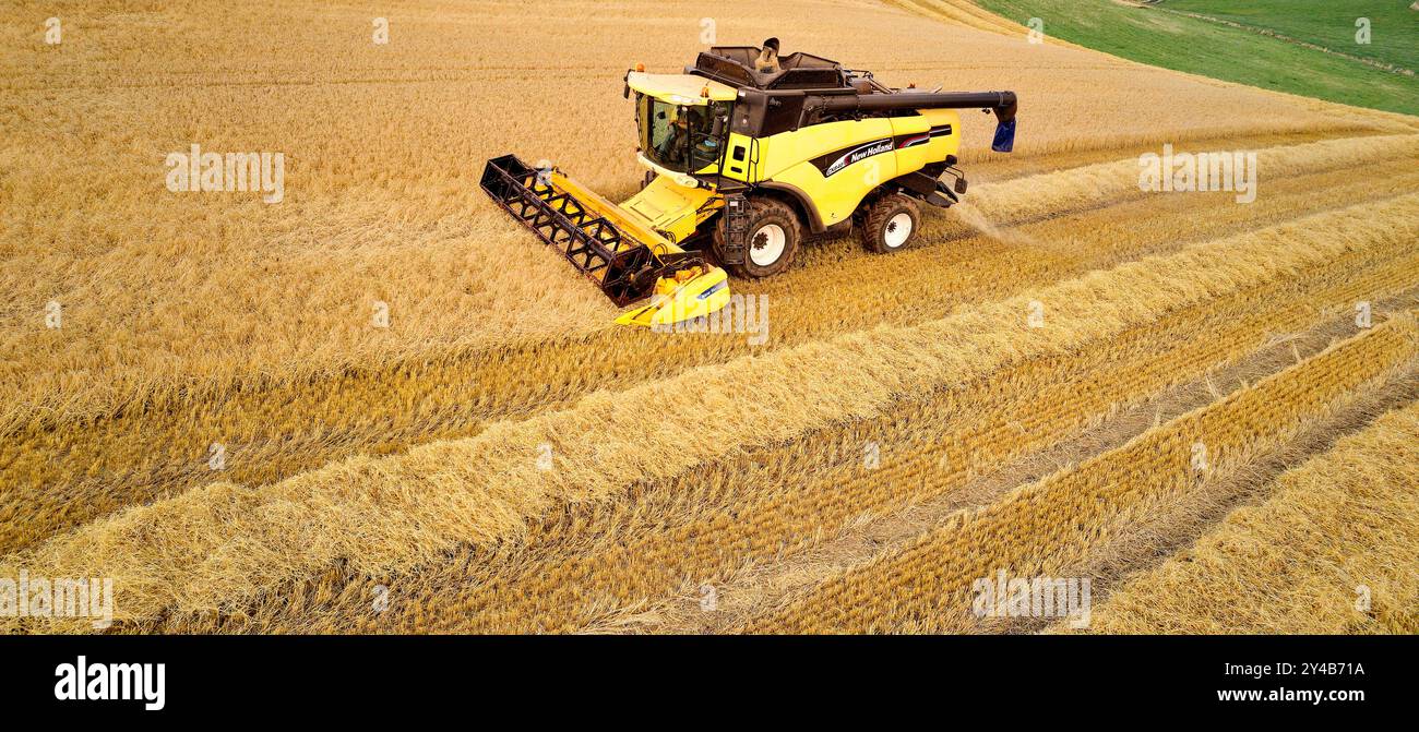Combina la macchina Harvester Crovie Aberdeenshire Scotland sul campo di orzo dorato a fine estate Foto Stock