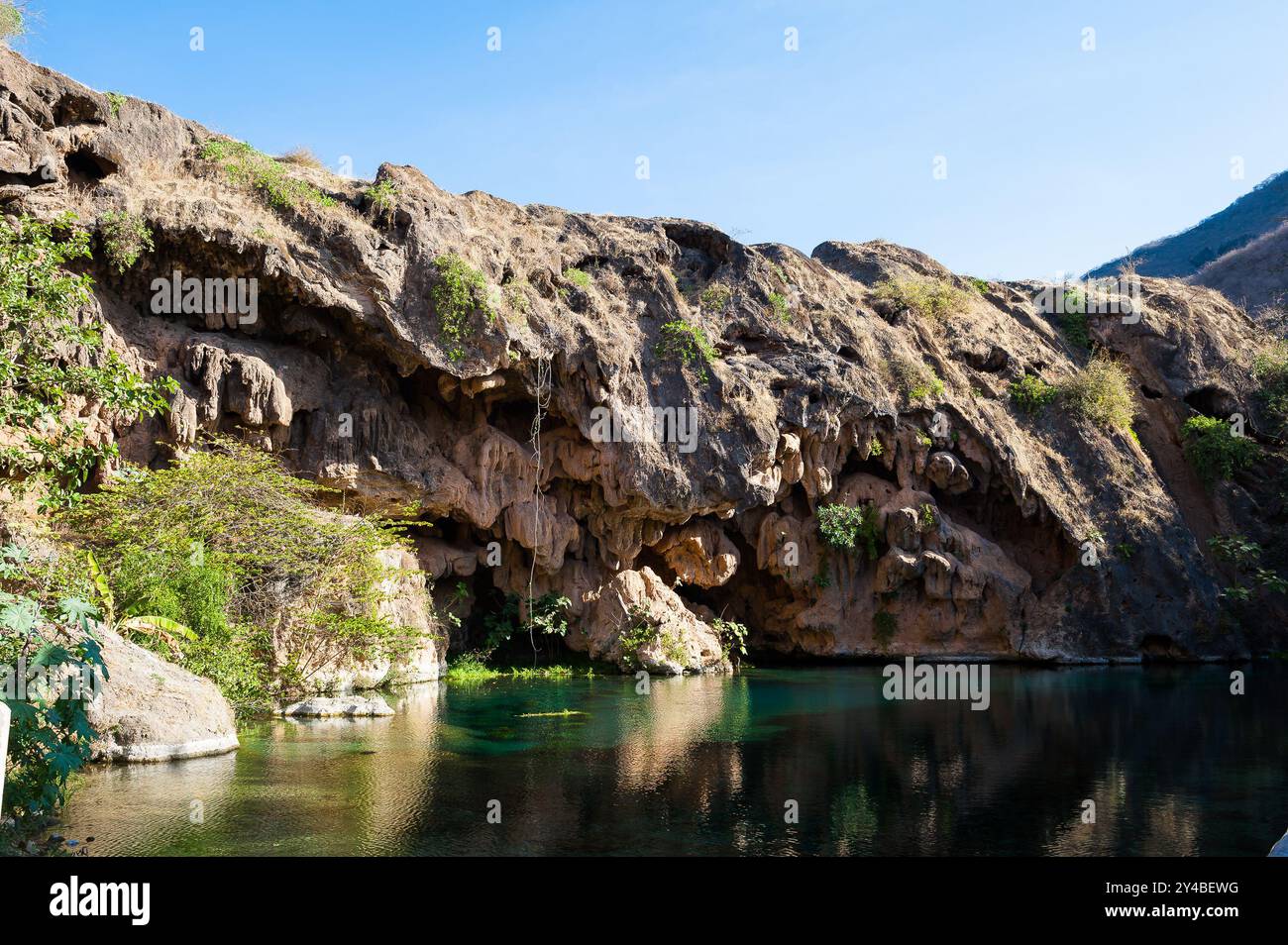 Ain Sahlanout, Governatorato di Dhofar, Oman Foto Stock