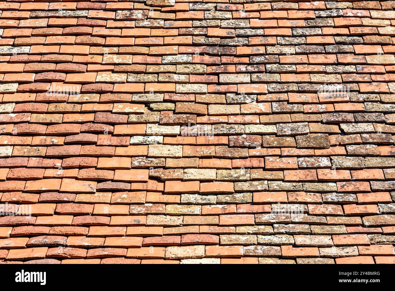 Miscela di tegole di terracotta nuove e bonificate - Boussay, Indre-et-Loire (37), Francia. Foto Stock
