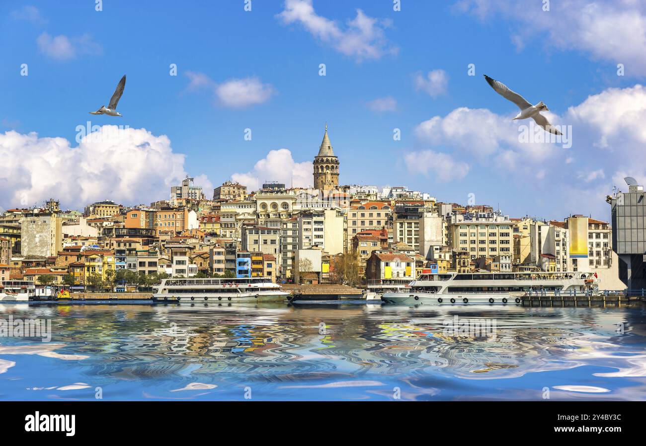 Gabbiani sul Corno d'Oro con vista sulla Torre Galata E Istanbul Foto Stock