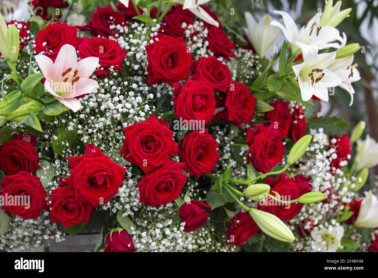 Bouquet di rose rosse e gigli con gypsophila Foto Stock