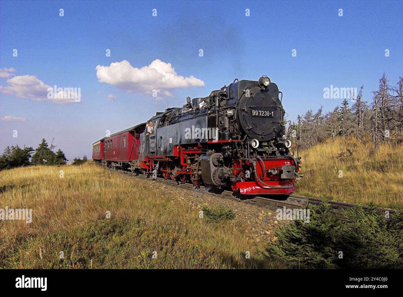 HSB, ferrovia a scartamento ridotto Harz, locomotiva, motore a vapore, fumo, HSB Railway, Brockenbahn, Harz, trasporti, traffico, ferrovia Foto Stock