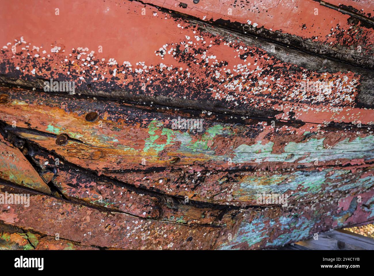 Tavole colorate della nave, scafo marcio e vecchie tavole di una nave, primo piano dello scafo sottomarino. Peenemuende, isola di Usedom, Meclemburgo-Pomera occidentale Foto Stock