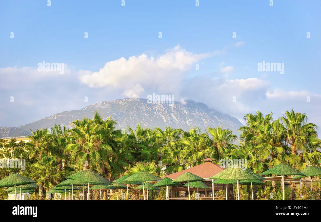 Palme e ombrelli sullo sfondo di una montagna ad Alanya, Turchia, Asia Foto Stock