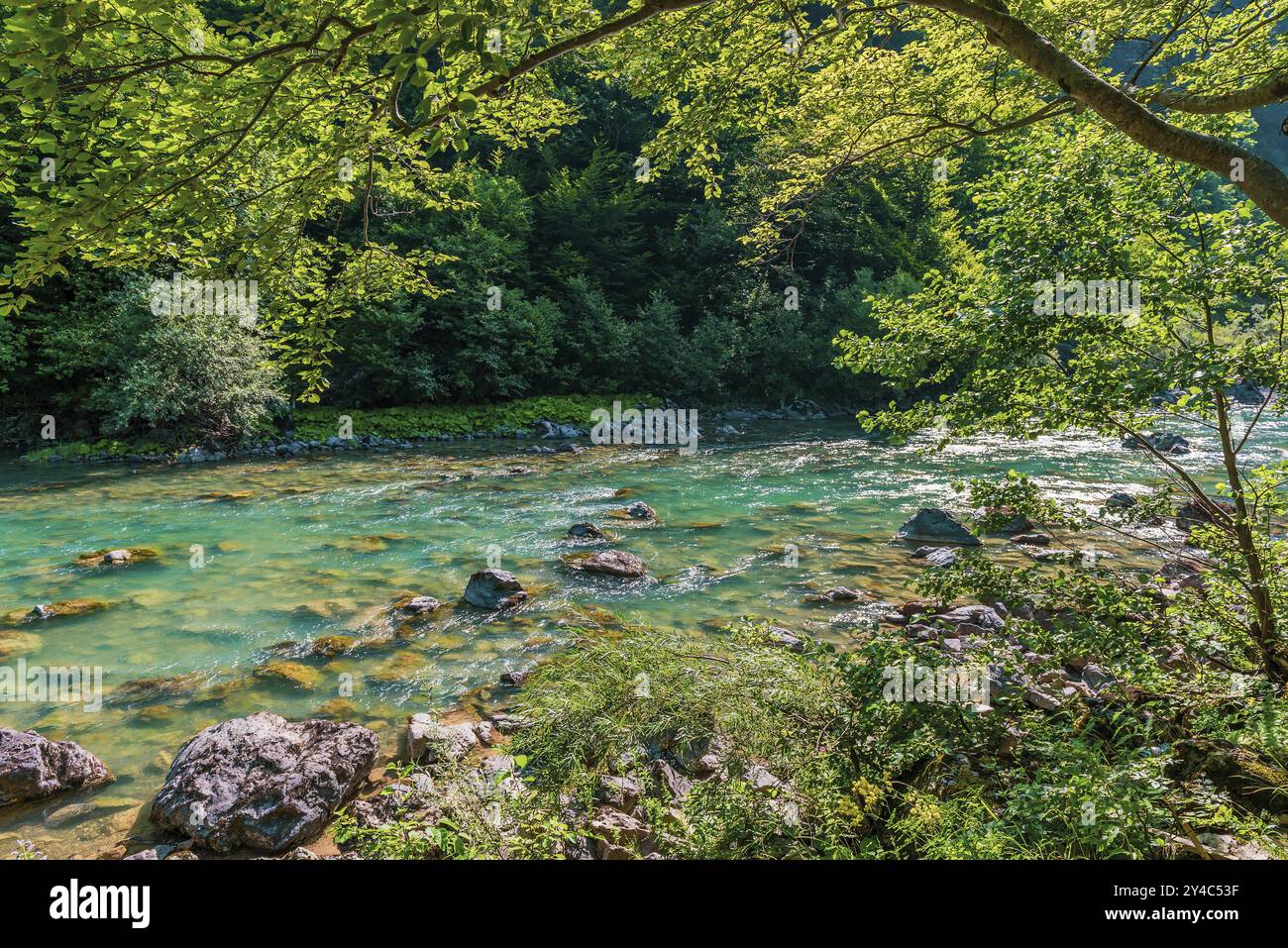 Fiume di montagna turchese in Montenegro all'alba Foto Stock