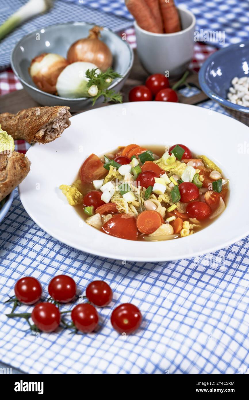 Minestrone con cavolo della savoia, carote, fagioli di Thracia phaseolina, cobbettis e pomodori Foto Stock