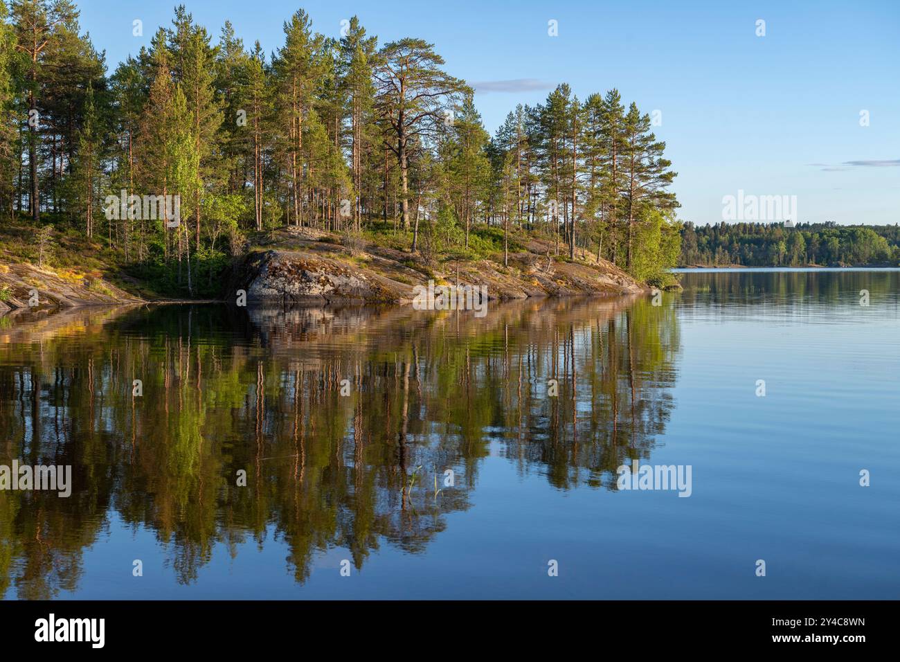 La sera di sole di giugno sull'isola di Koyonsaari. Carelia, Russia Foto Stock