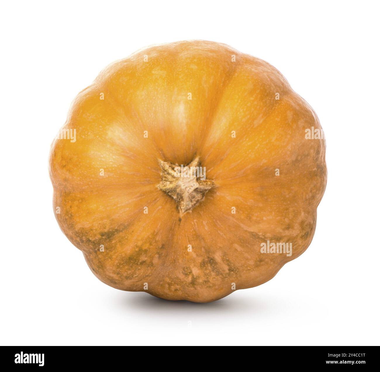 Zucca rotonda arancione isolata su sfondo bianco Foto Stock