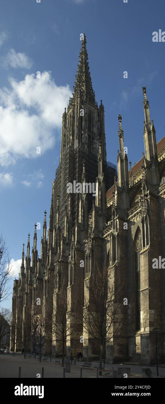 Con i suoi 161,53 metri di altezza, Ulm Minster ha la torre più alta del mondo ed è la più grande chiesa protestante del mondo Foto Stock