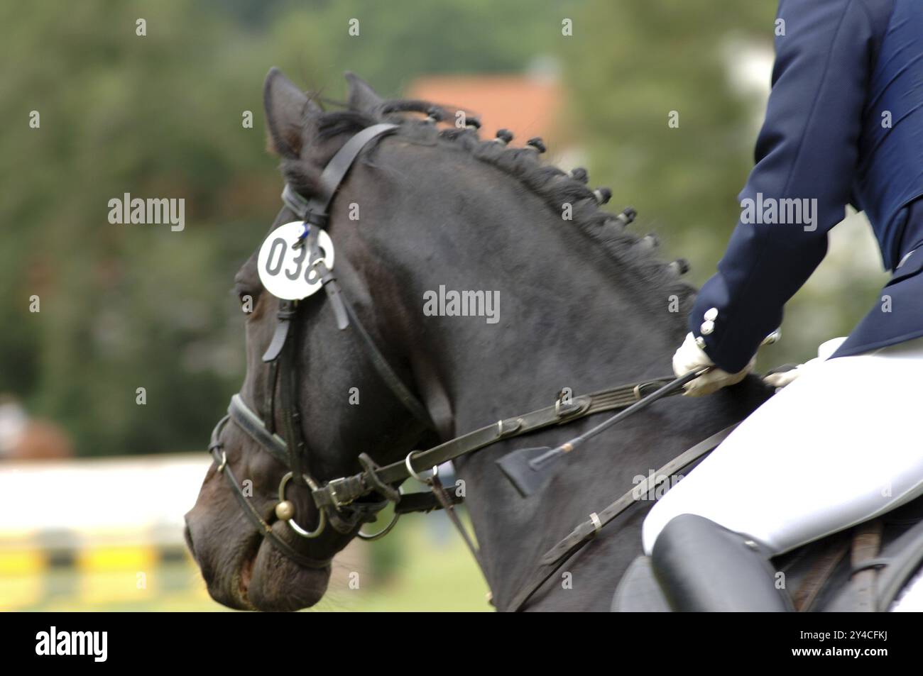 Istantanea torneo Foto Stock