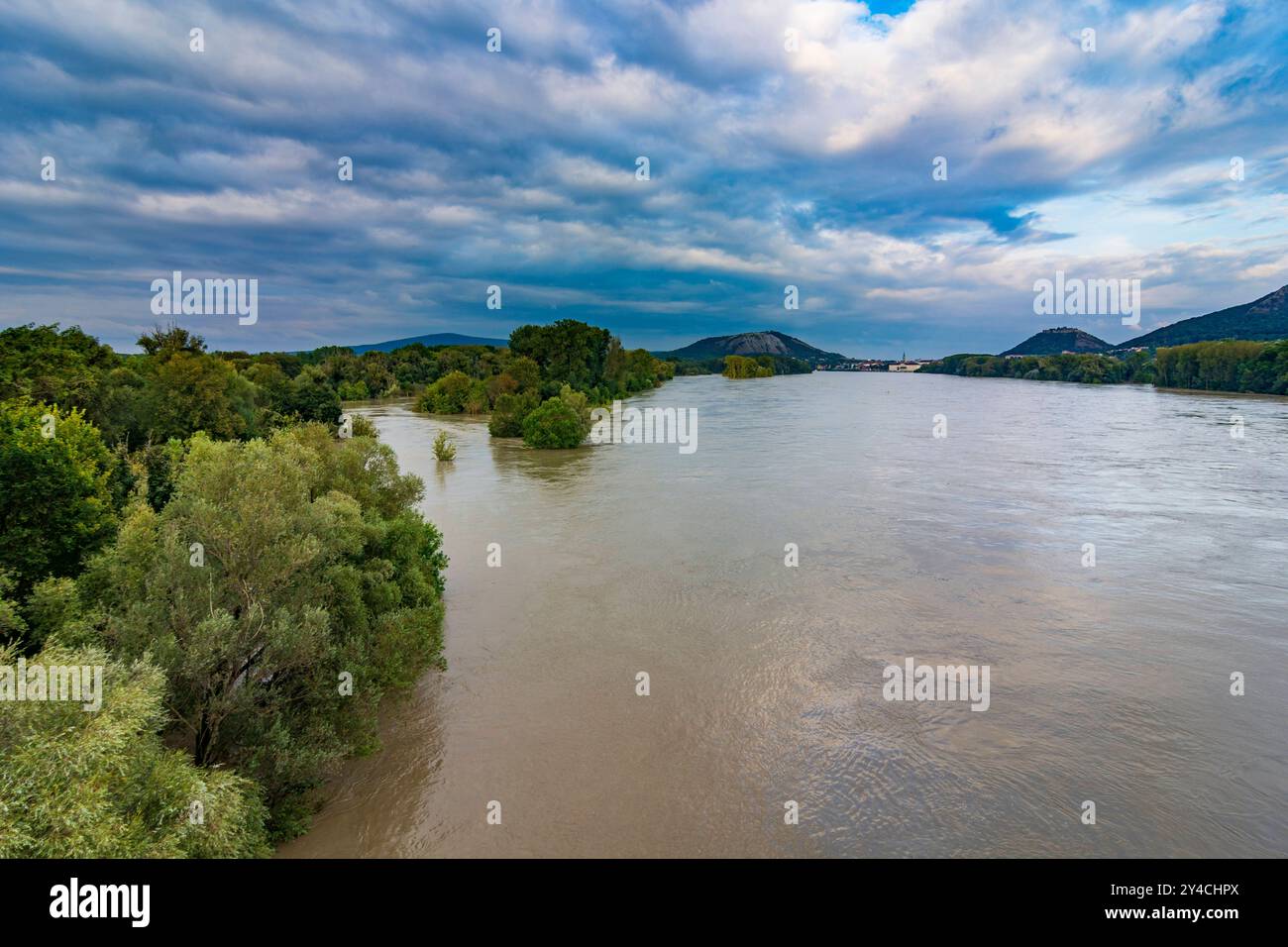 Inondazione nel fiume Donau Danube, foresta boschiva del parco nazionale Donau-Auen Danube-Auen, vista su Hainburg Hainburg an der Donau Donau Niederös Foto Stock