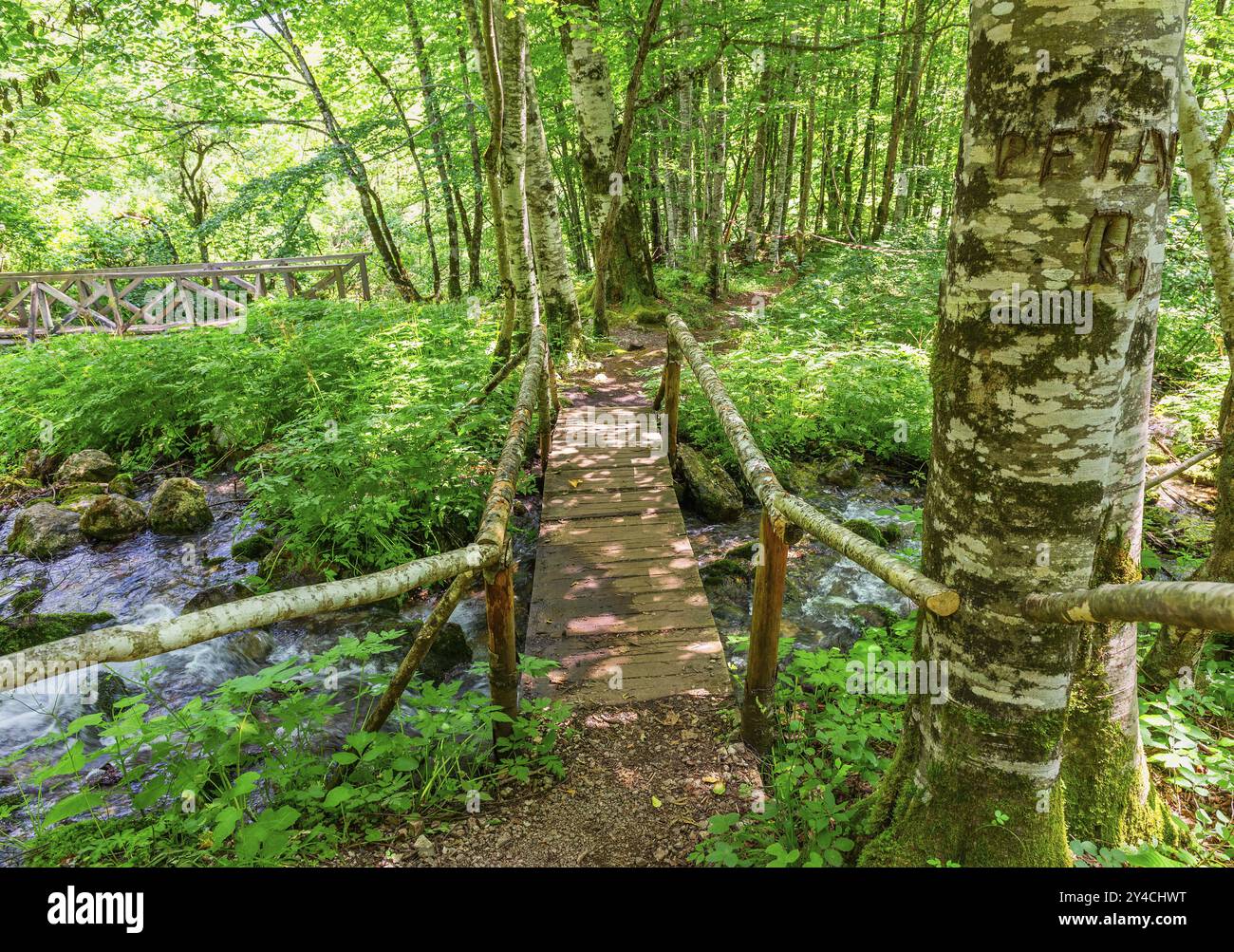 Vecchi ponti di legno nella foresta sulle cascate d'acqua, Montenegro, Europa Foto Stock