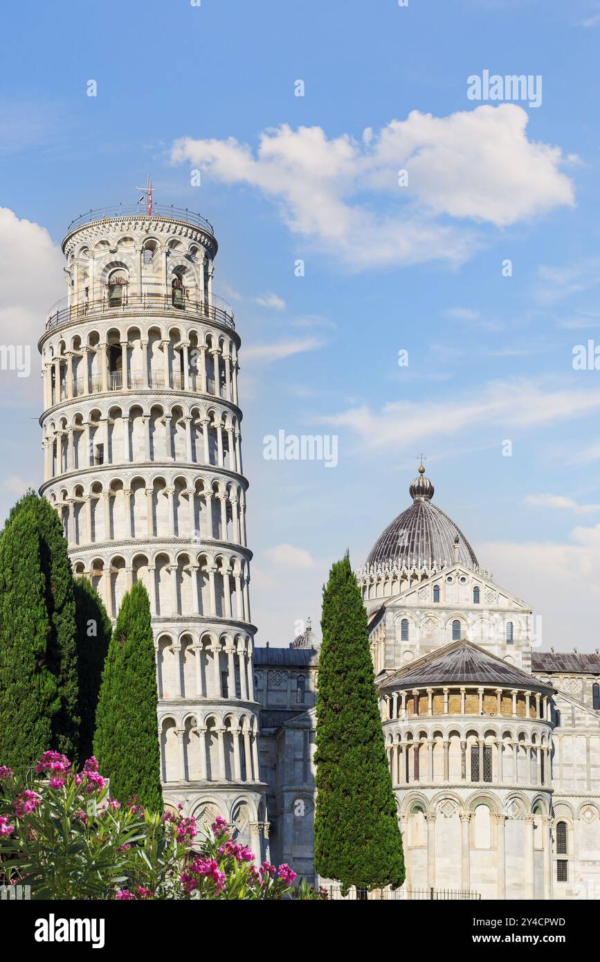 Torre Pendente e Cayhedral a Pisa nelle giornate di sole, Italia, Europa Foto Stock