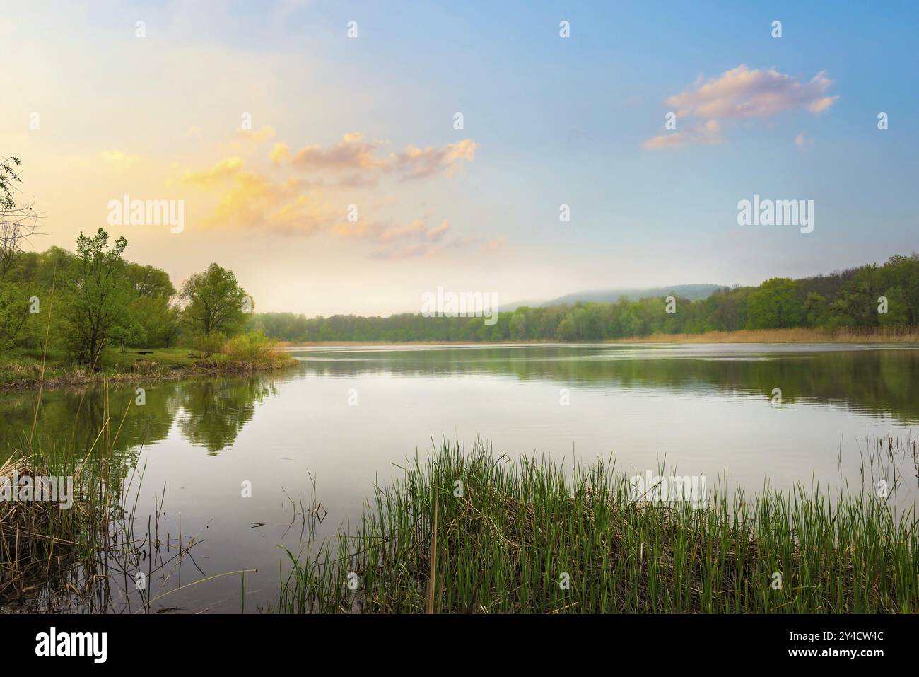 Calmo fiume e foresta in autunno all'alba Foto Stock