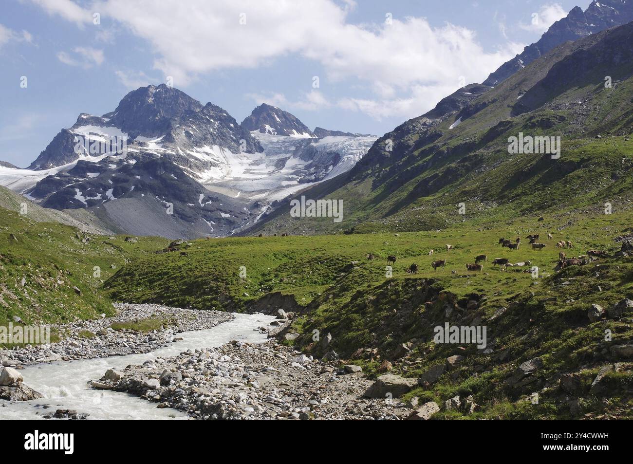 Il Piz Buin e la fonte del malato, Silvretta- Vorarlberg Foto Stock