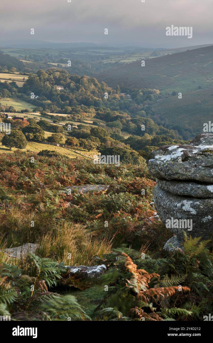 La mattina presto, lontana fotografia di Dartmeet e Hexworthy Foto Stock