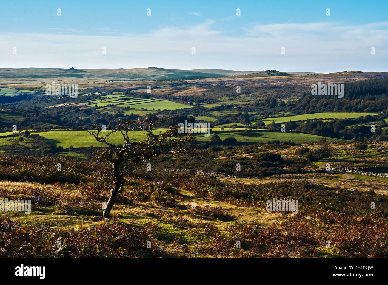 Brughiera e terreni agricoli che guardano a ovest da Combestone Tor, vicino a Hexworthy, Dartmoor Foto Stock