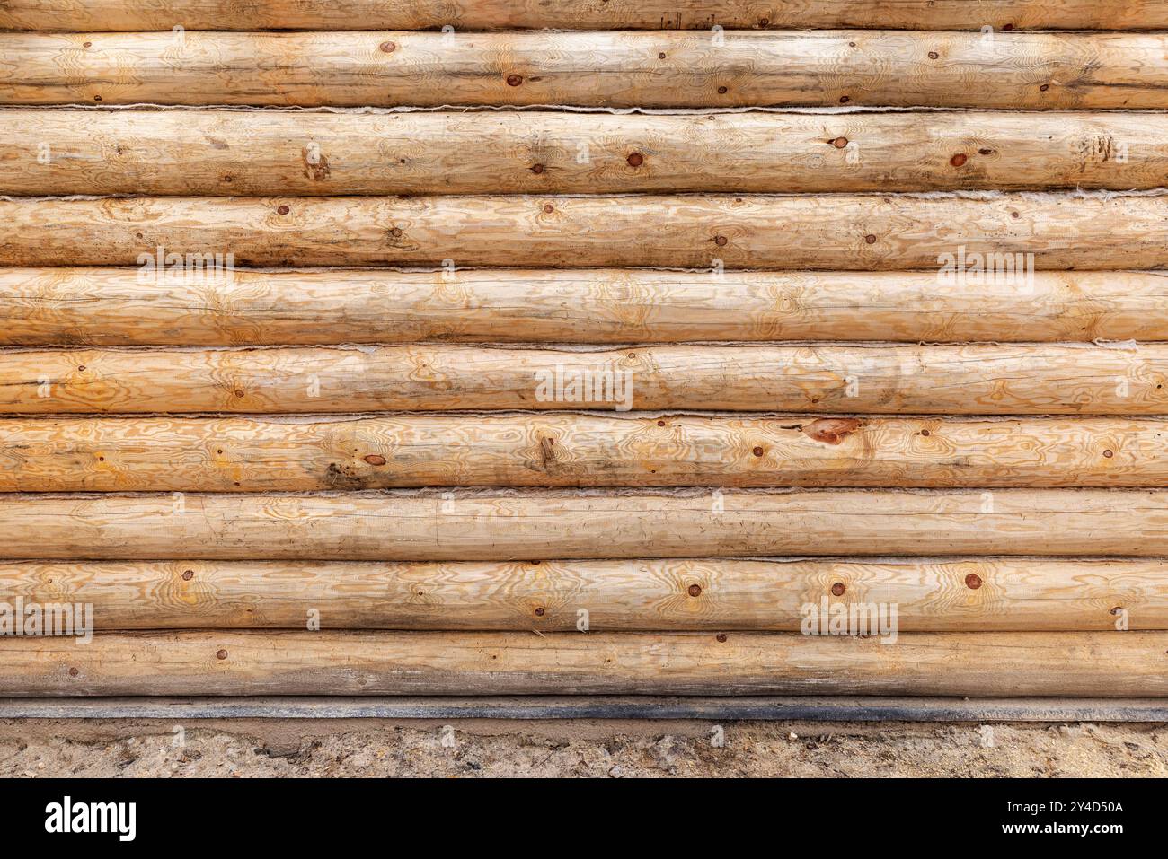 Nuova parete in legno fatta di tronchi di pino naturale non colorati, vista frontale, texture fotografica di sfondo. La casa di legno è in costruzione Foto Stock