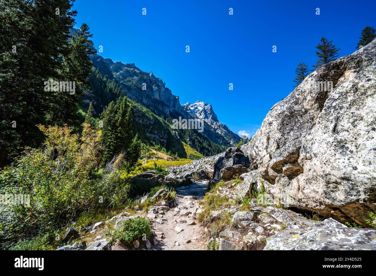 Il percorso Cascade Canyon del Parco Nazionale del Grand Teton mentre fai escursioni nell'autunno del 2024 Foto Stock