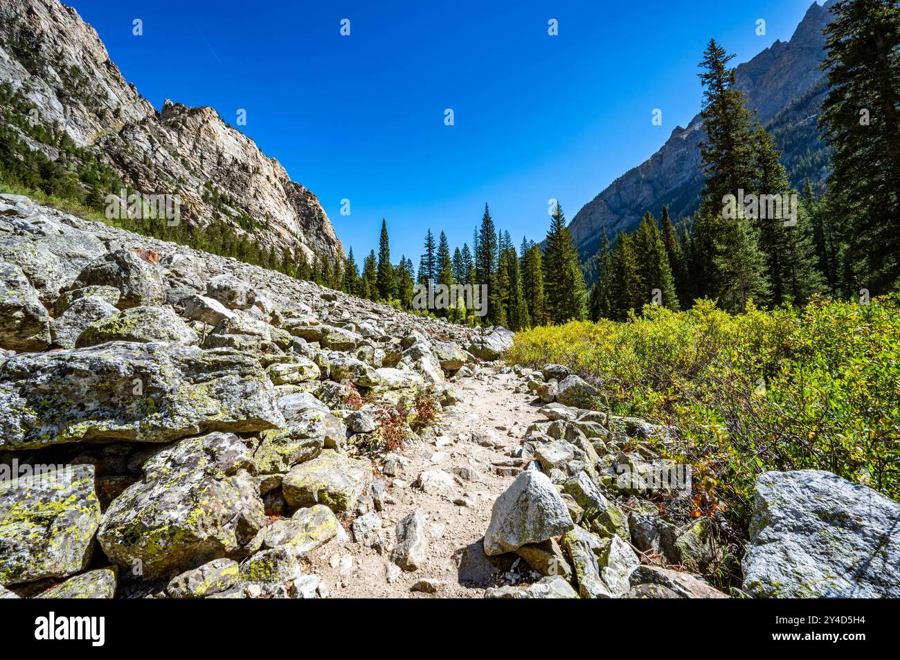 Il percorso Cascade Canyon del Parco Nazionale del Grand Teton mentre fai escursioni nell'autunno del 2024 Foto Stock