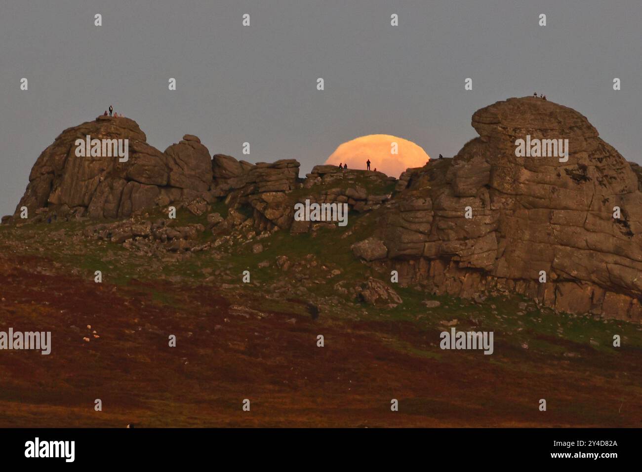 Dartmoor, Devon, Regno Unito. 17 settembre 2024. Full Harvest Supermoon risplende su Hay Tor a Dartmoor, Devon, Regno Unito. La Luna piena di settembre è spesso chiamata la Luna del raccolto a causa della sua associazione con i raccolti autunnali nell'emisfero settentrionale. Crediti: Nidpor/Alamy Live News Foto Stock