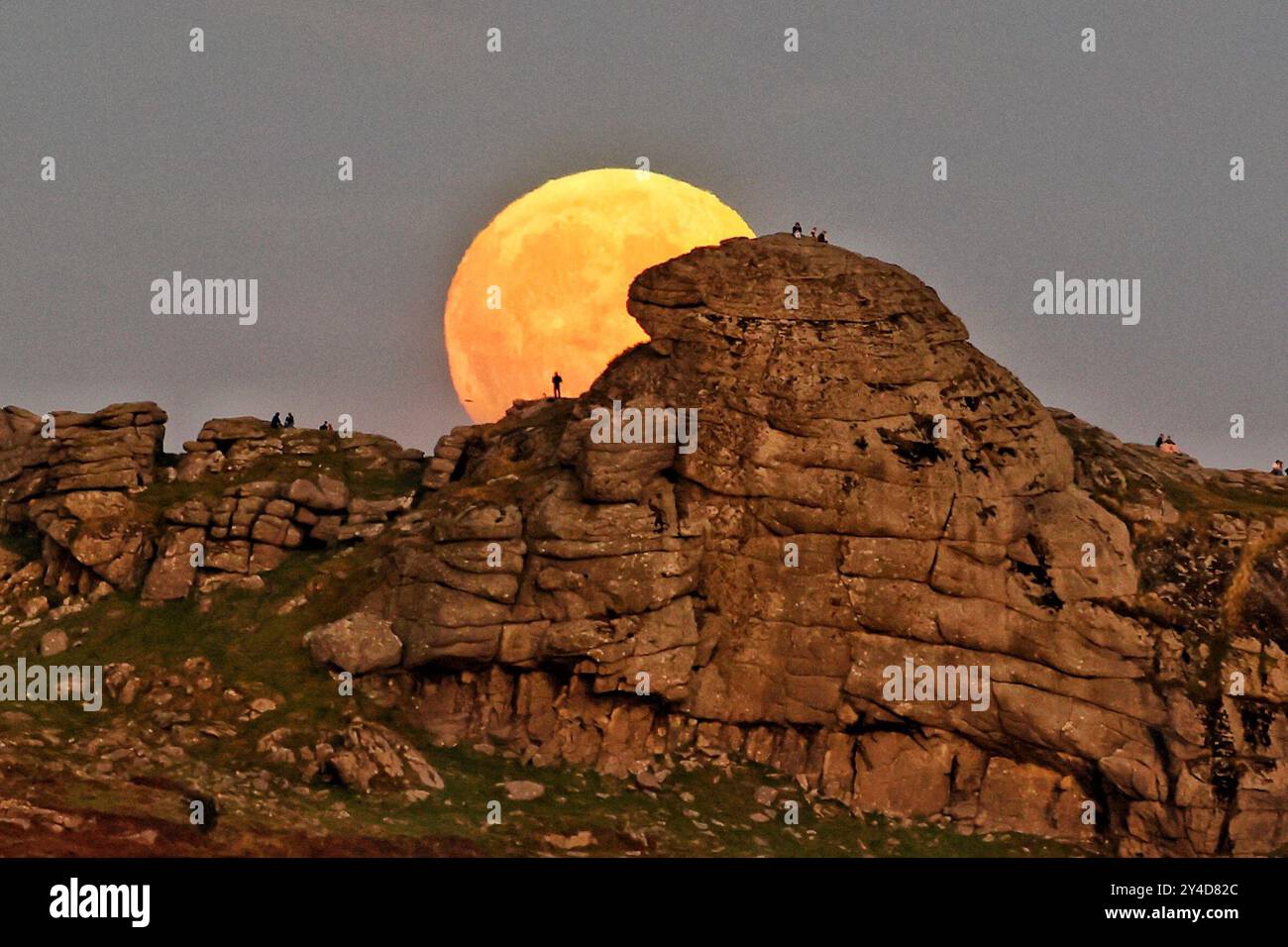 Dartmoor, Devon, Regno Unito. 17 settembre 2024. Full Harvest Supermoon risplende su Hay Tor a Dartmoor, Devon, Regno Unito. La Luna piena di settembre è spesso chiamata la Luna del raccolto a causa della sua associazione con i raccolti autunnali nell'emisfero settentrionale. Crediti: Nidpor/Alamy Live News Foto Stock