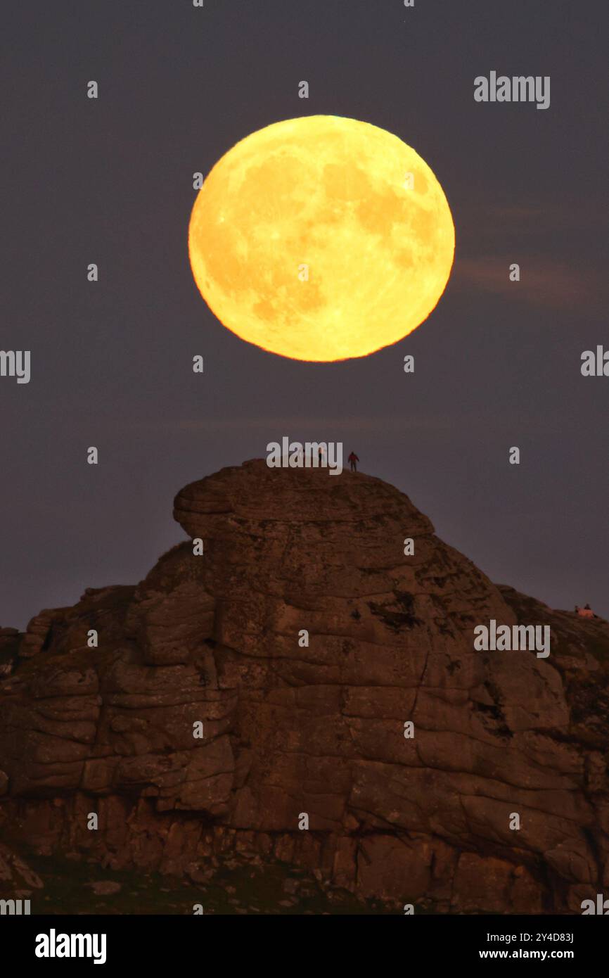 Dartmoor, Devon, Regno Unito. 17 settembre 2024. Full Harvest Supermoon risplende su Hay Tor a Dartmoor, Devon, Regno Unito. La Luna piena di settembre è spesso chiamata la Luna del raccolto a causa della sua associazione con i raccolti autunnali nell'emisfero settentrionale. Crediti: Nidpor/Alamy Live News Foto Stock Dartmoor, Devon, Regno Unito. 17 settembre 2024. Full Harvest Supermoon risplende su Hay Tor a Dartmoor, Devon, Regno Unito. La Luna piena di settembre è spesso chiamata la Luna del raccolto a causa della sua associazione con i raccolti autunnali nell'emisfero settentrionale. Crediti: Nidpor/Alamy Live News Foto Stock