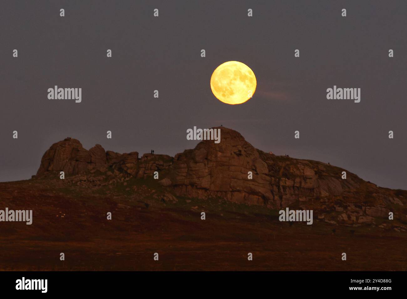 Dartmoor, Devon, Regno Unito. 17 settembre 2024. Full Harvest Supermoon risplende su Hay Tor a Dartmoor, Devon, Regno Unito. La Luna piena di settembre è spesso chiamata la Luna del raccolto a causa della sua associazione con i raccolti autunnali nell'emisfero settentrionale. Crediti: Nidpor/Alamy Live News Foto Stock Dartmoor, Devon, Regno Unito. 17 settembre 2024. Full Harvest Supermoon risplende su Hay Tor a Dartmoor, Devon, Regno Unito. La Luna piena di settembre è spesso chiamata la Luna del raccolto a causa della sua associazione con i raccolti autunnali nell'emisfero settentrionale. Crediti: Nidpor/Alamy Live News Foto Stock