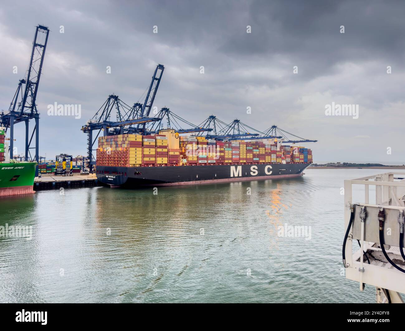 Felixstowe, Inghilterra - 4 settembre 2024: Nave container MSC attraccata a Felixstowe alla luce del mattino presto, gru torreggianti che scaricano il carico. La quie Foto Stock