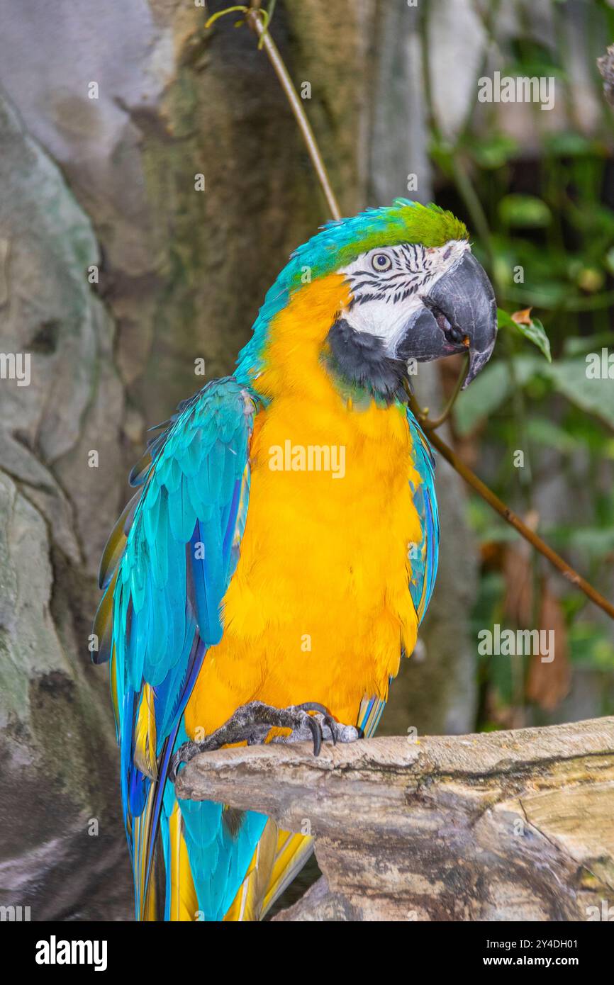 National Aquarium presso il porto interno di Baltimora. Foto Stock