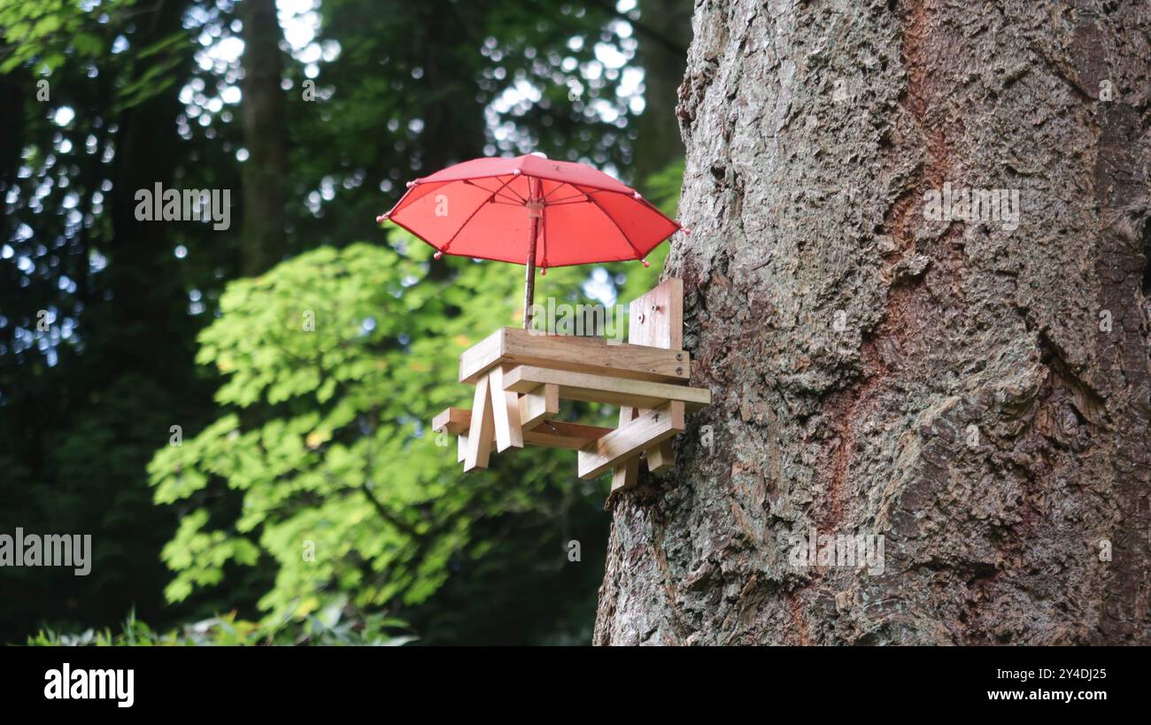Nuovo alimentatore per uccelli o scoiattoli a forma di tavolino da picnic in miniatura sull'albero Foto Stock