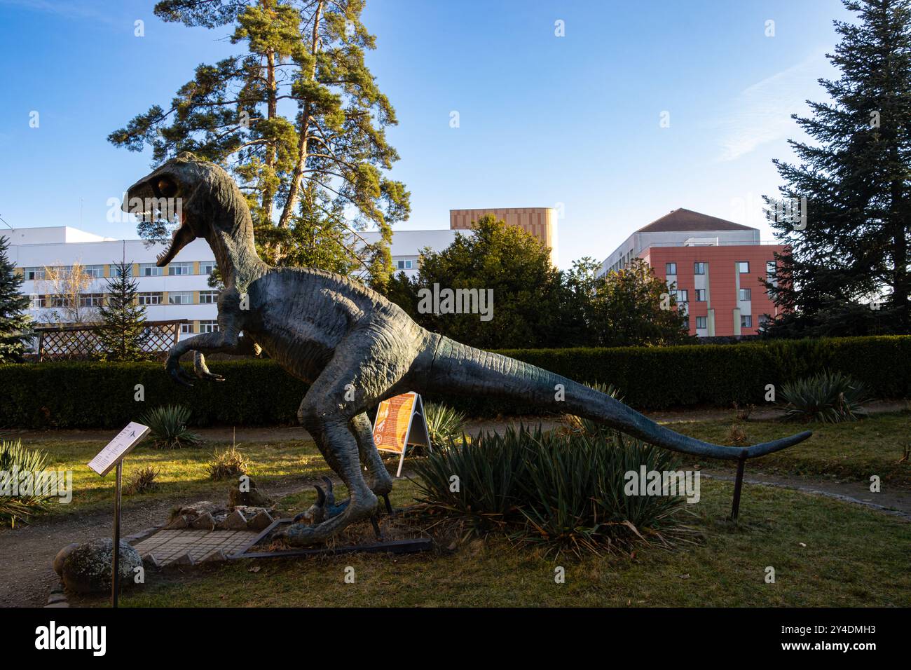 Statua di dinosauro Utahraptor nel giardino del Museo di storia naturale di Sibiu, Romania Foto Stock